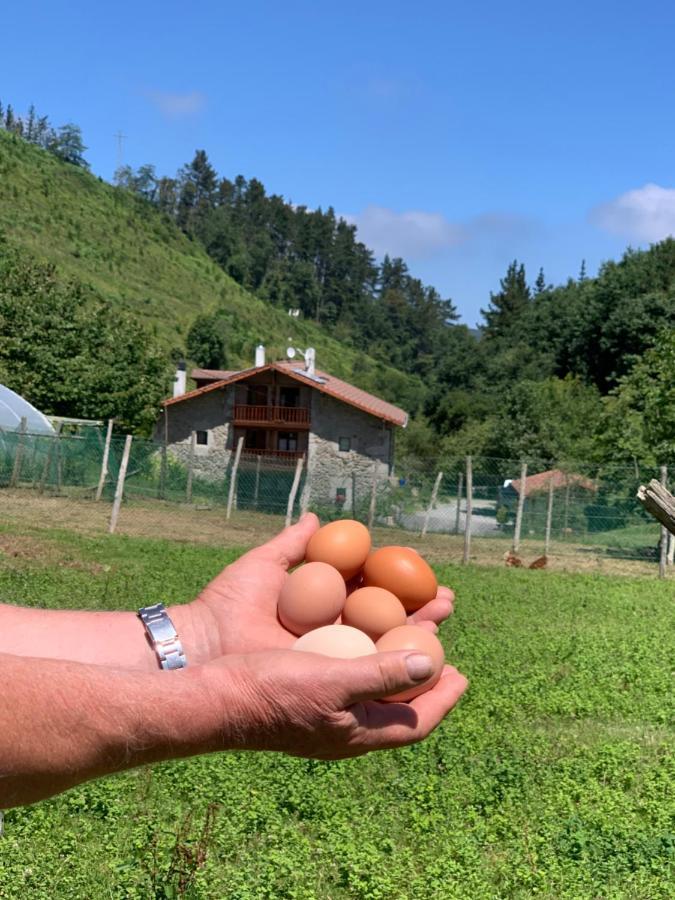 Agroturismo Urresti Gautegiz Arteaga Ngoại thất bức ảnh